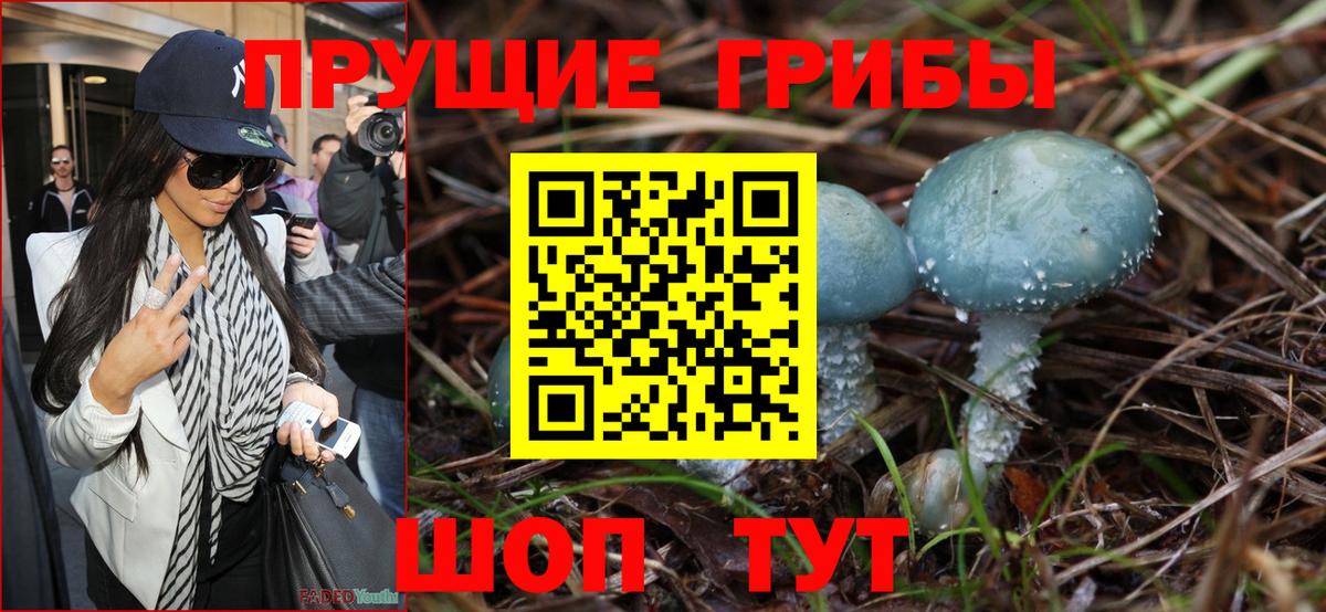Отрадный  Галлюциногенные грибы мицелий  Вход с VPN 
