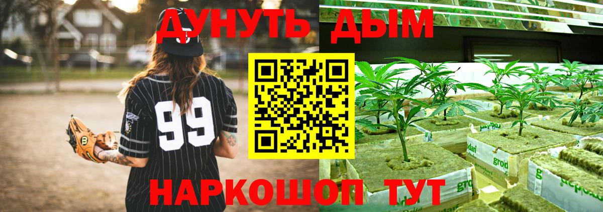 Шишки марихуана OG Kush Отрадный
